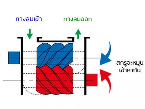 ปั๊มลม (Air Compressor) แต่ละประเภทแตกต่างกันอย่างไร?