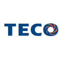 Logo TECO